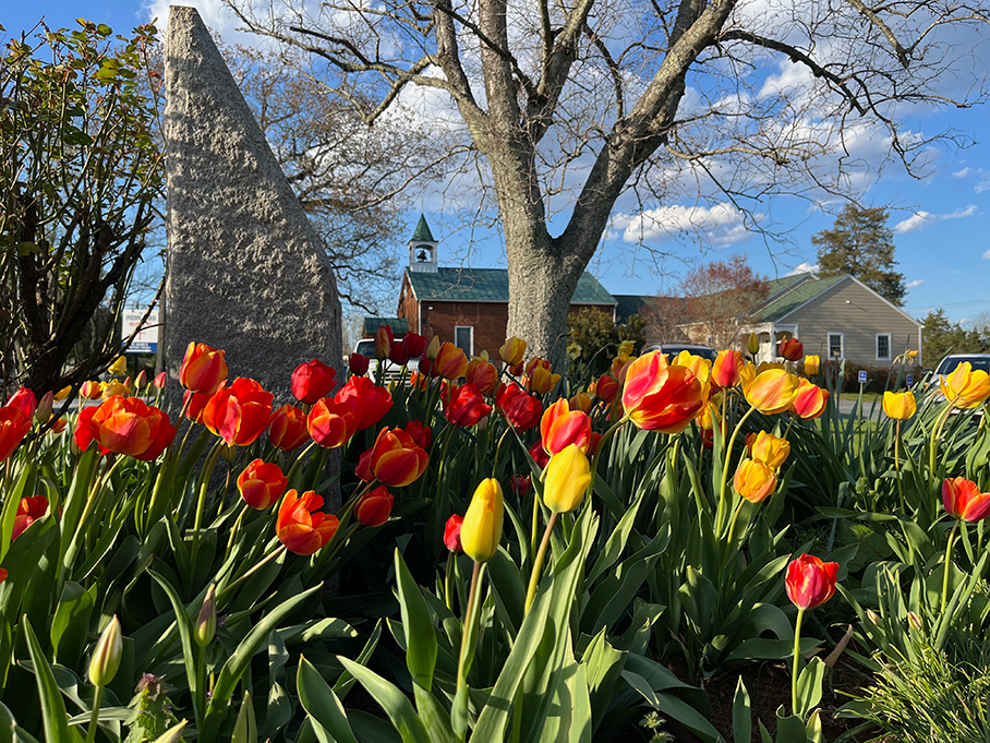 St Mark's Episcopal Church, Clifford, VA, springtime